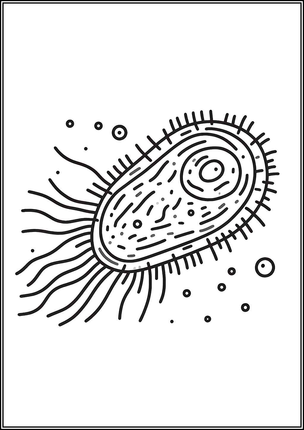 Bacteria Image Coloring
