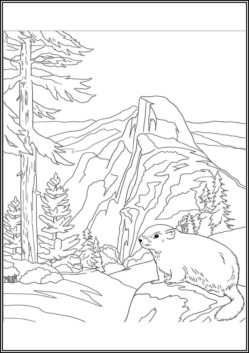 Beaver In The Forest Coloring