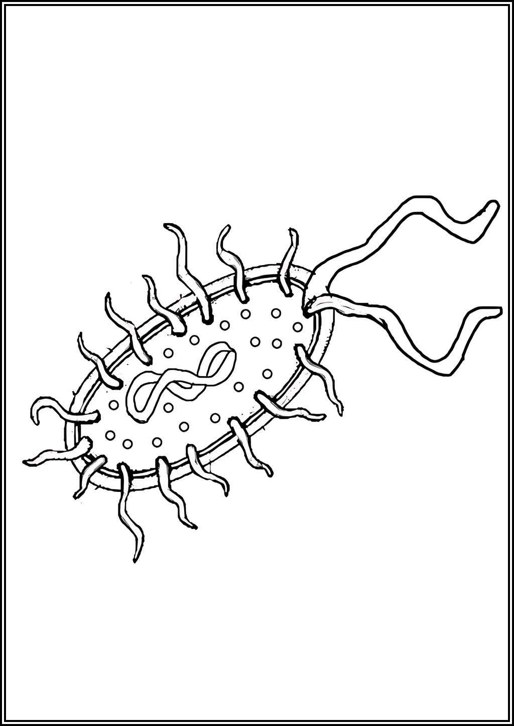 Biology Bacteria Coloring