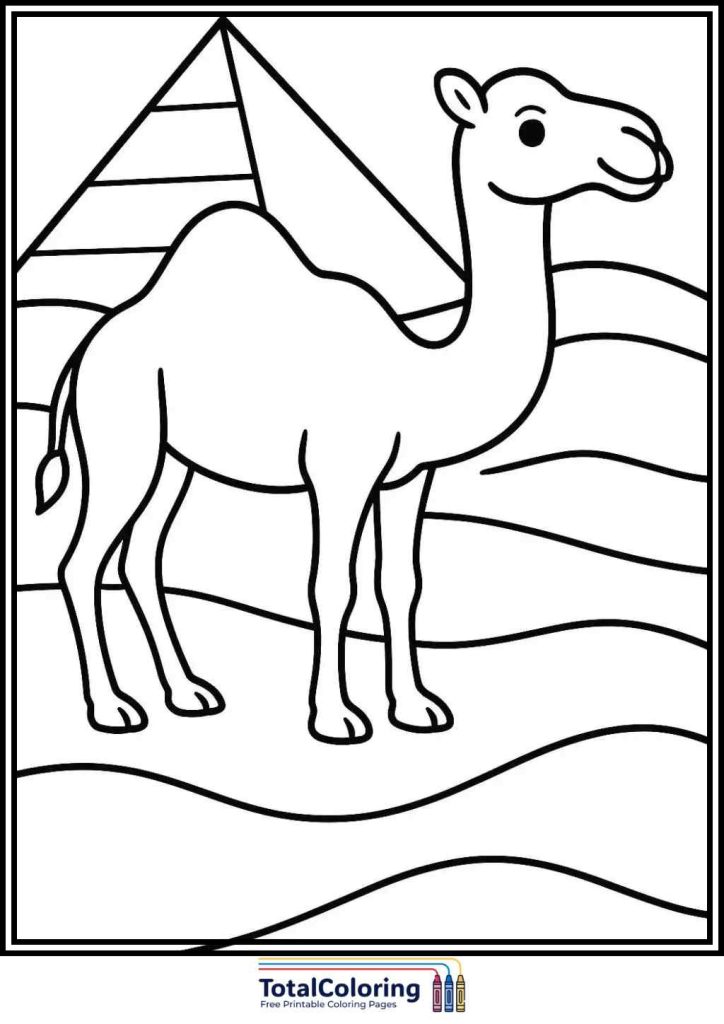 camel and pyramid coloring page