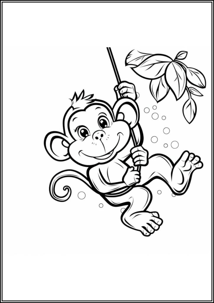 Funny Monkey