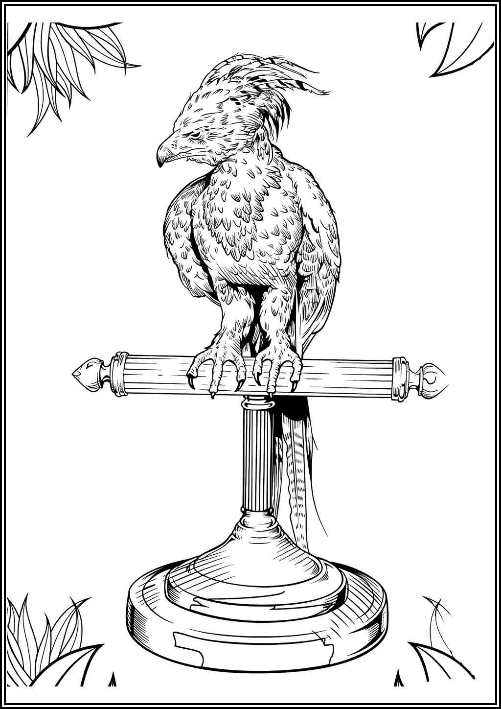 Harry Potter Phoenix Coloring