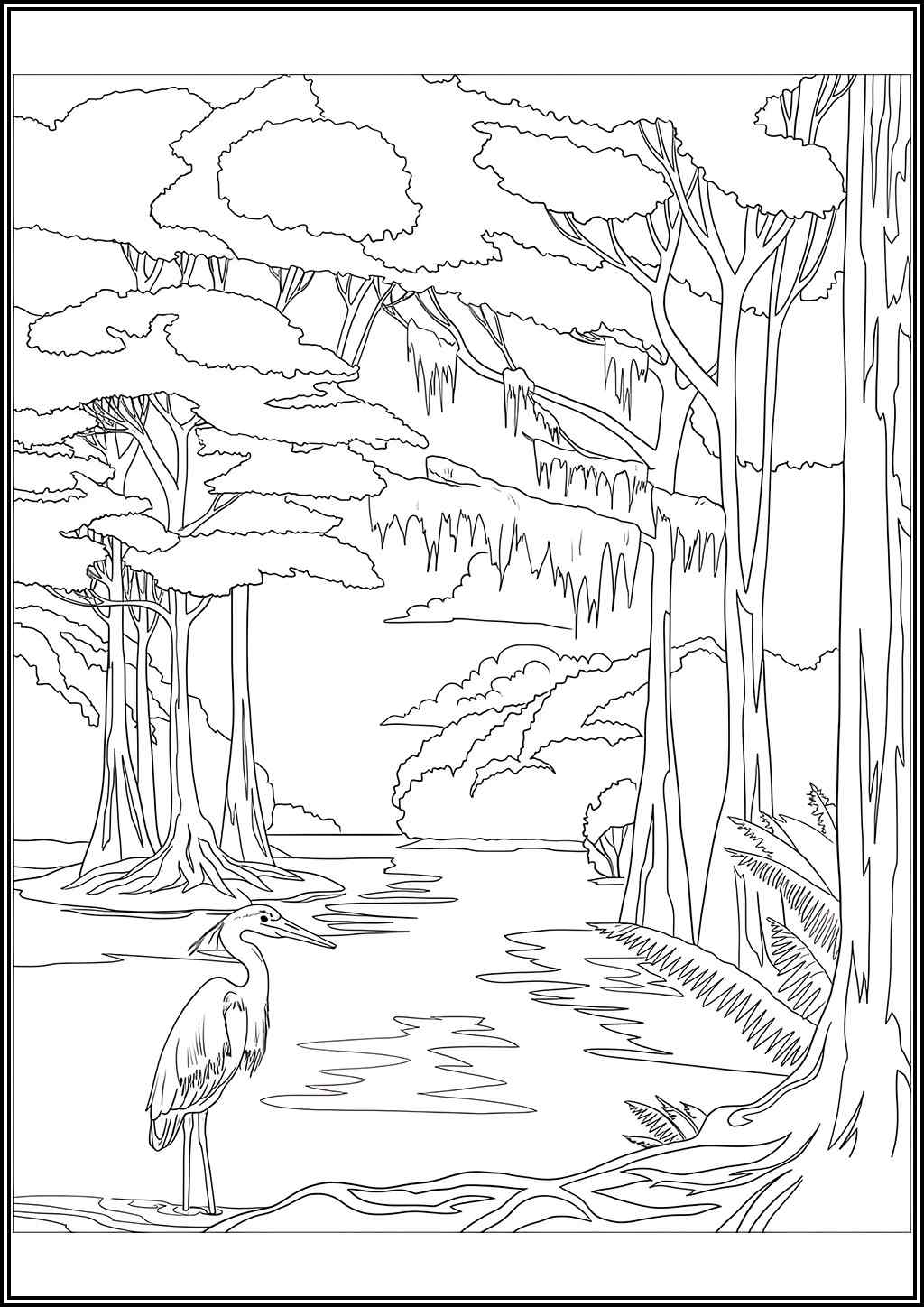 Heron In The Forest Coloring
