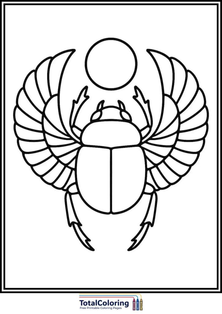 scarab beetle coloring page