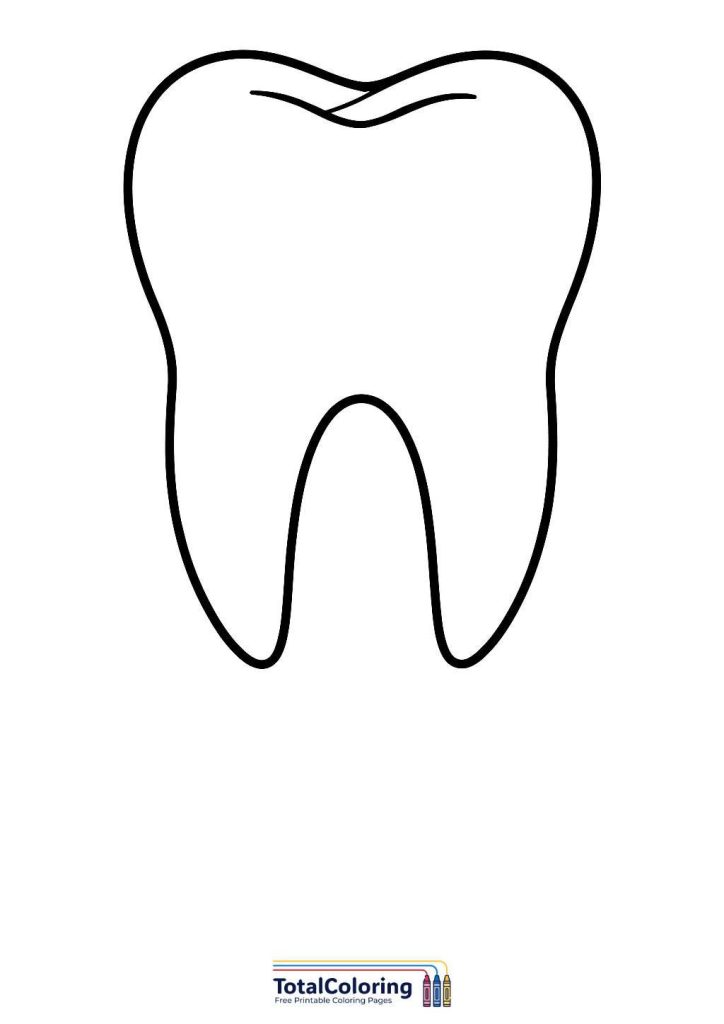teeth printable template