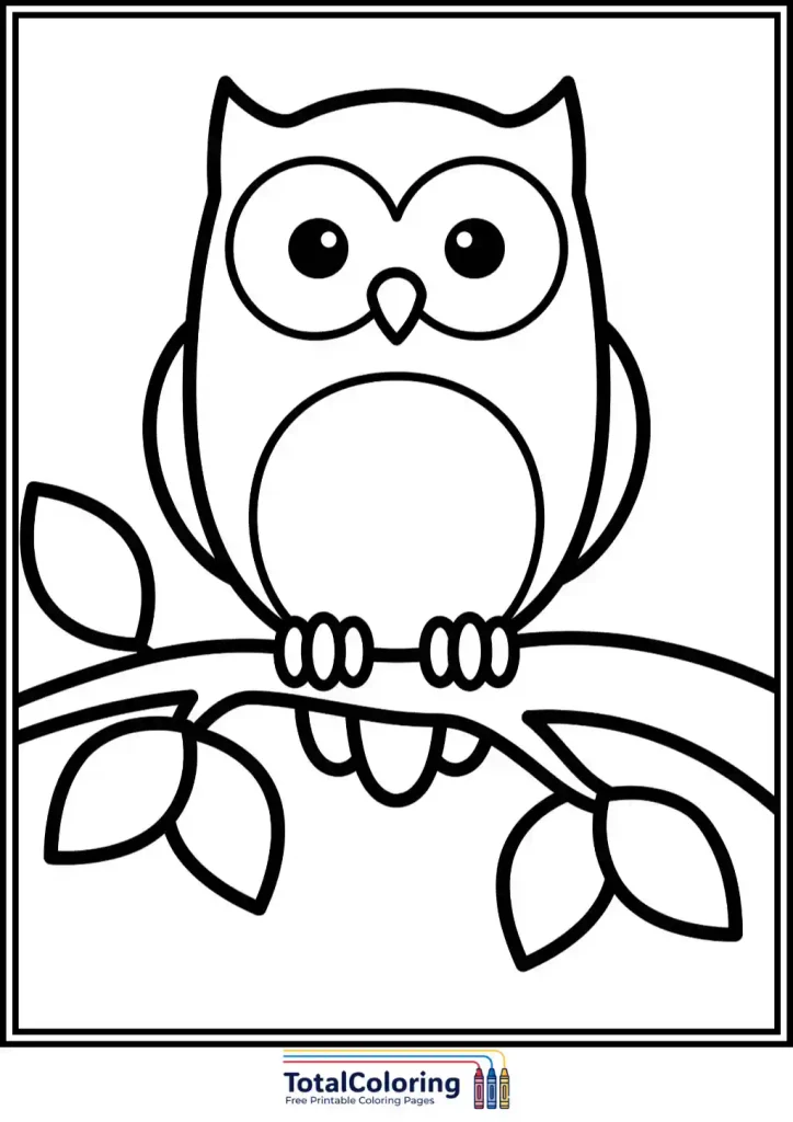 cute owl on branch coloring page